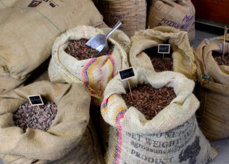 Musée du Chocolat Gelencser – Les Journées Régionales de la Visite d’Entreprise