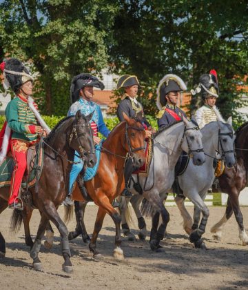 L&rsquo;été au Haras