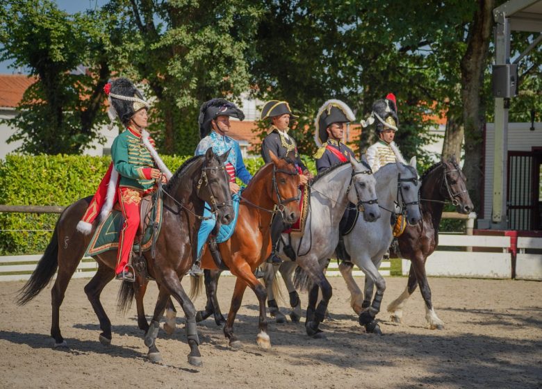 L&rsquo;été au Haras