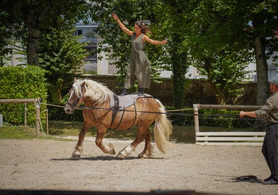 Le Printemps au Haras