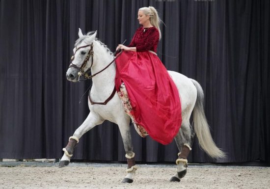Le Printemps au Haras
