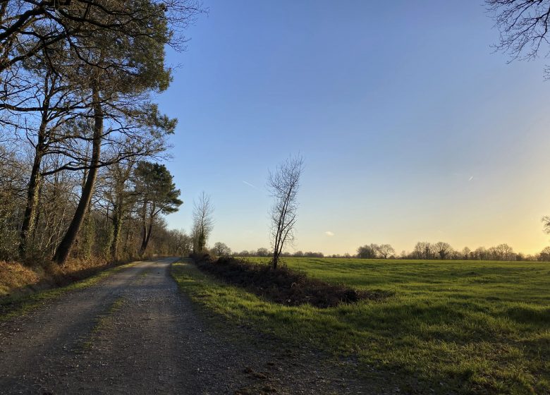 SENTIER DE L’ACACIA