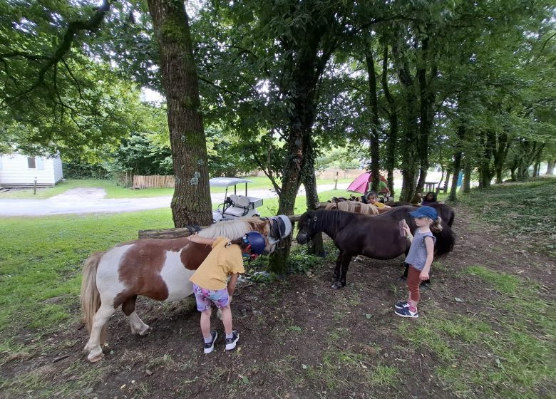 Camping l’Ambois