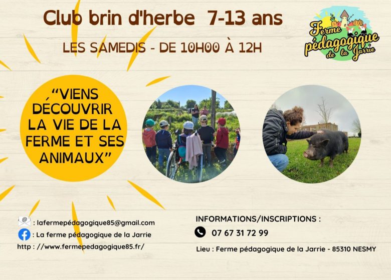 Activités enfant – Club brin d’herbes à La Ferme pédagogique de la Jarrie