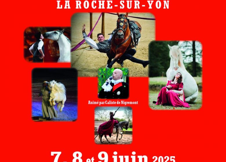 Spectacle équestre Vendée Cheval 2025 – 9 juin 2025