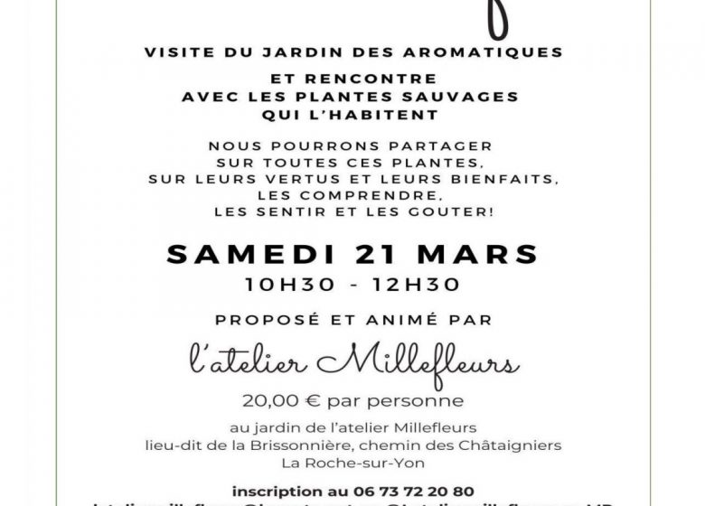 Découverte botanique