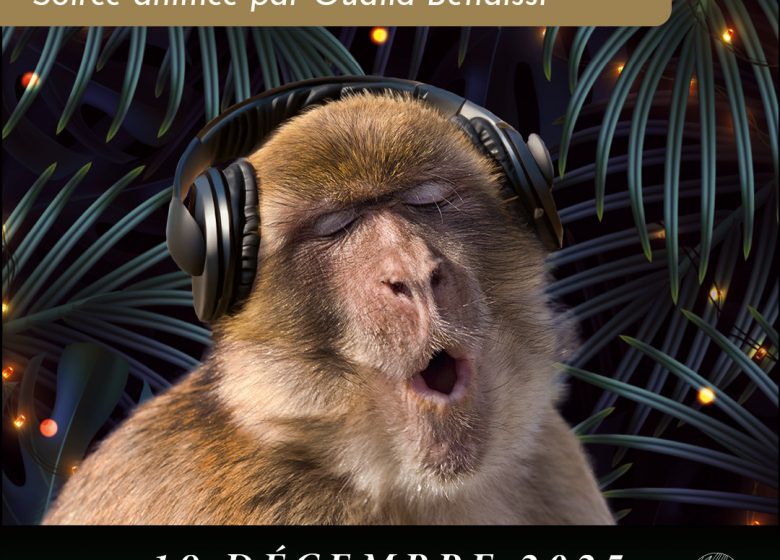 Monkey’s Parties • Blind Test