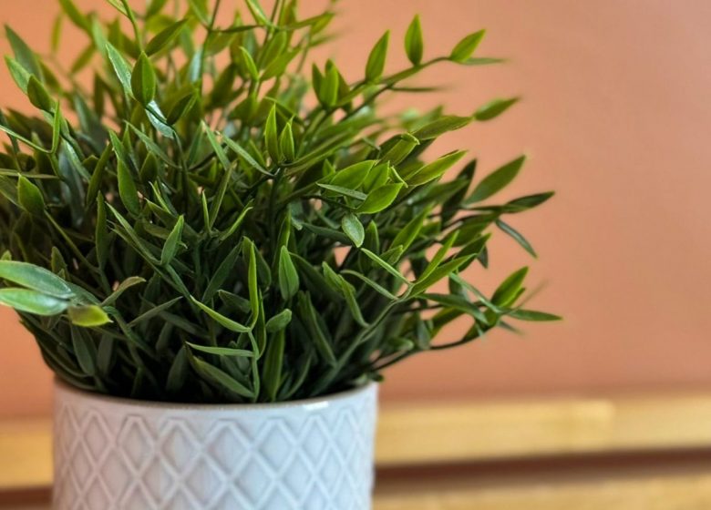 La Mais&rsquo;Yon du Bonheur