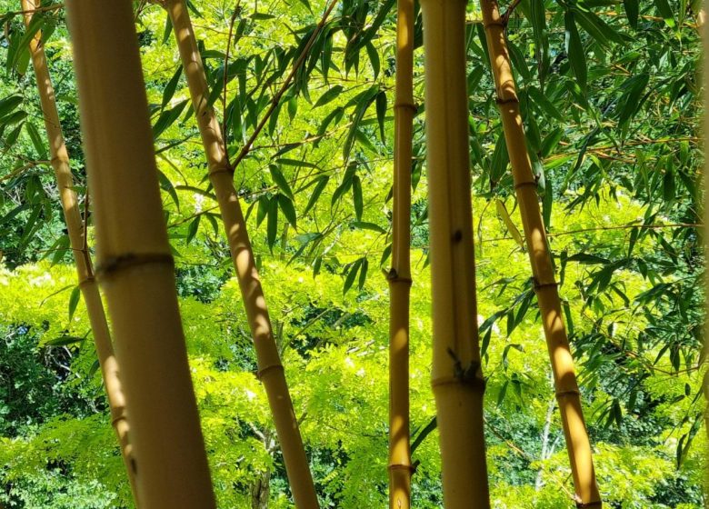 Les rendez-vous aux jardins
