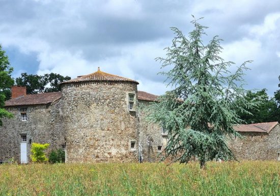 Les rendez-vous aux jardins