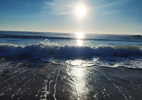 Le Lokat&rsquo;yf 85