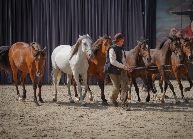 L&rsquo;été au Haras