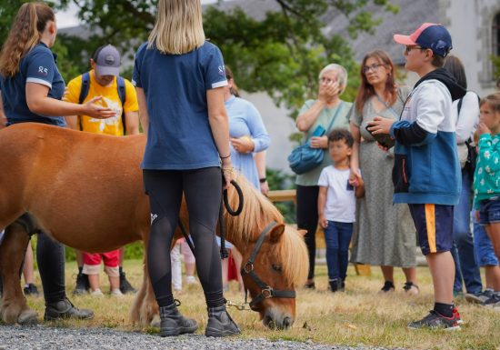 Le Printemps au Haras