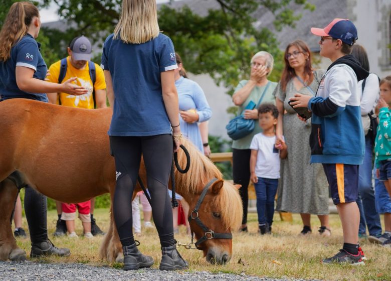 Le Printemps au Haras