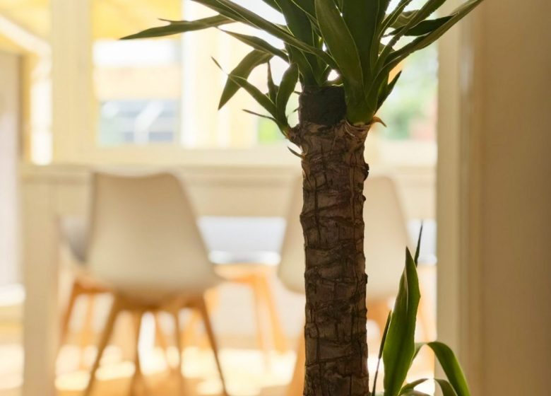 La Mais&rsquo;Yon du Bonheur