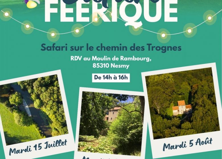 Les safaris féériques de la Destination La Roche-sur-Yon