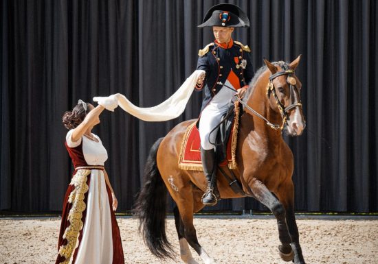 L&rsquo;été au Haras