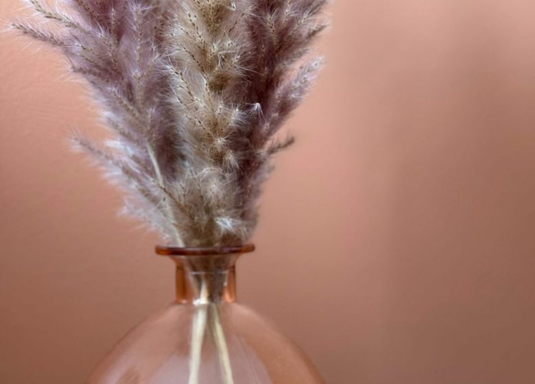 La Mais&rsquo;Yon du Bonheur