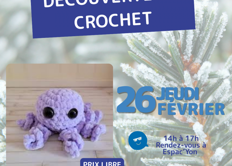 ANIMATION FAMILLE – initiation au crochet