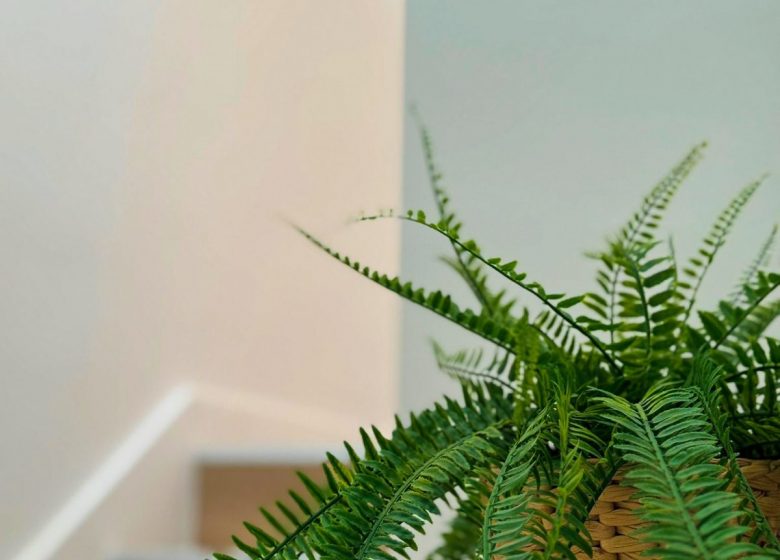 La Mais&rsquo;Yon du Bonheur