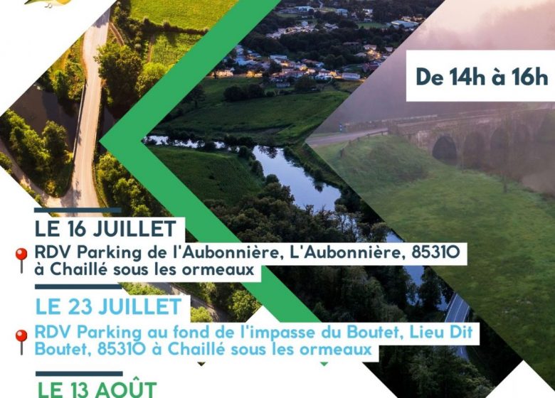 Les safaris Plumes et Pattes de la Destination La Roche-sur-Yon