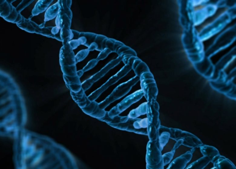 Extrais de l&rsquo;ADN de banane – 100% FILLES