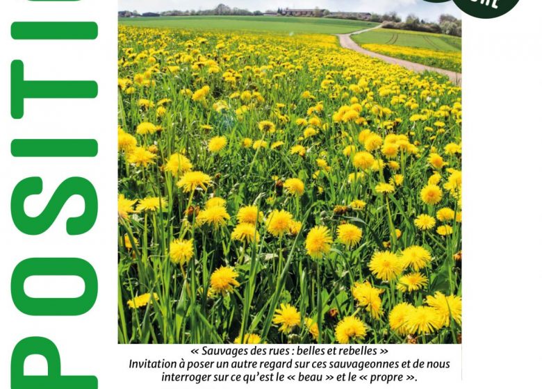 Exposition « Sauvages des rues : belles et rebelles »