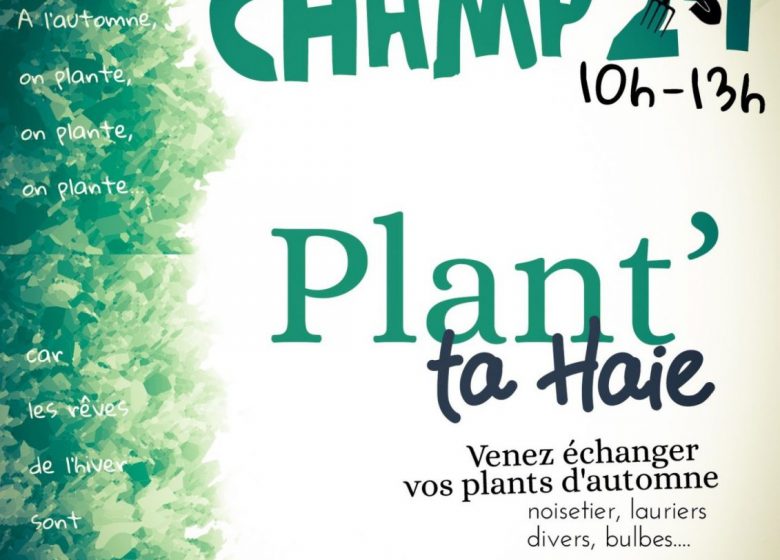 Plant’ta haie