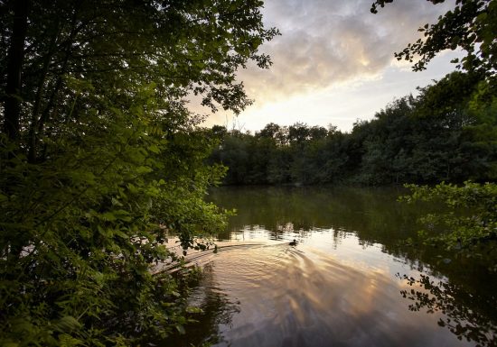 Parcs d’Alluchon et de Rivoli
