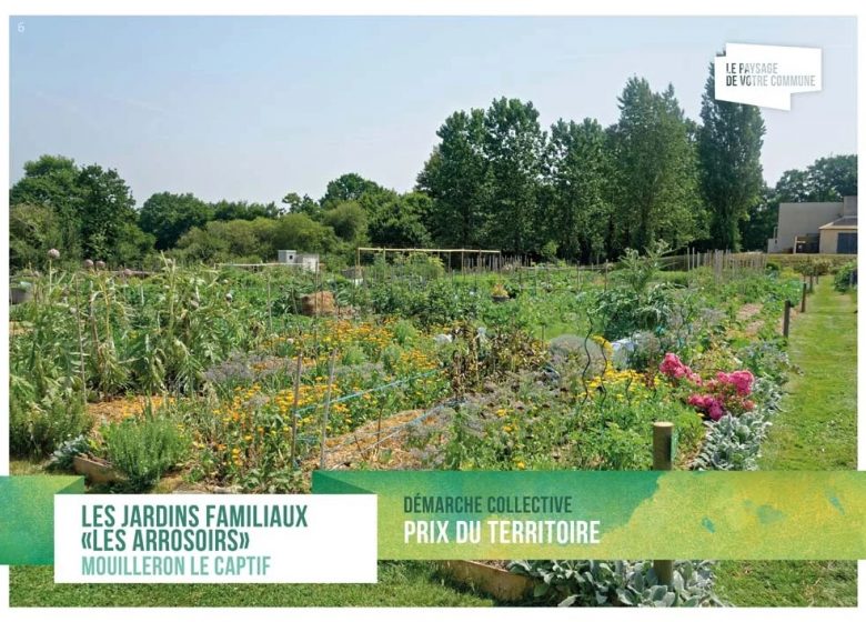 Troc plantes du jardin des Arrosoirs