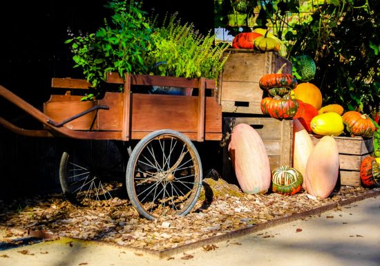 Le Potager Extraordinaire