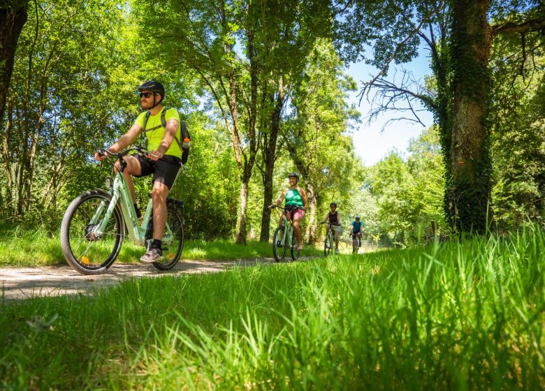 Été Vagabond : À vélo au cœur de la vallée de l’Yon