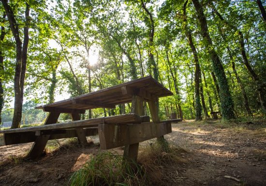 Aire de pique-nique du Bois des Girondins