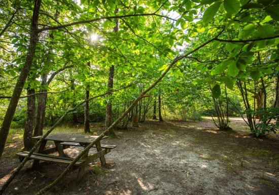 Aire de pique-nique du Bois des Girondins