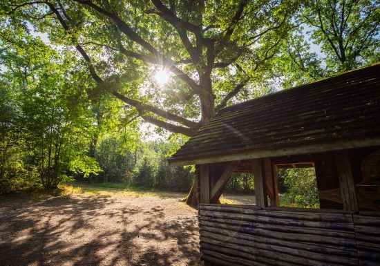 Aire de pique-nique du Bois des Girondins