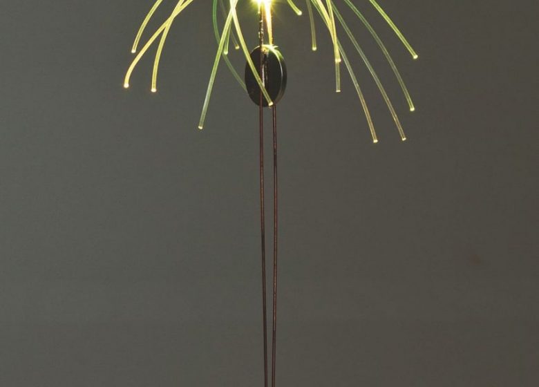 Illumine une lampe astéroïde