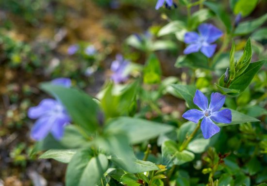 MALOCA’ – STUDIO 2