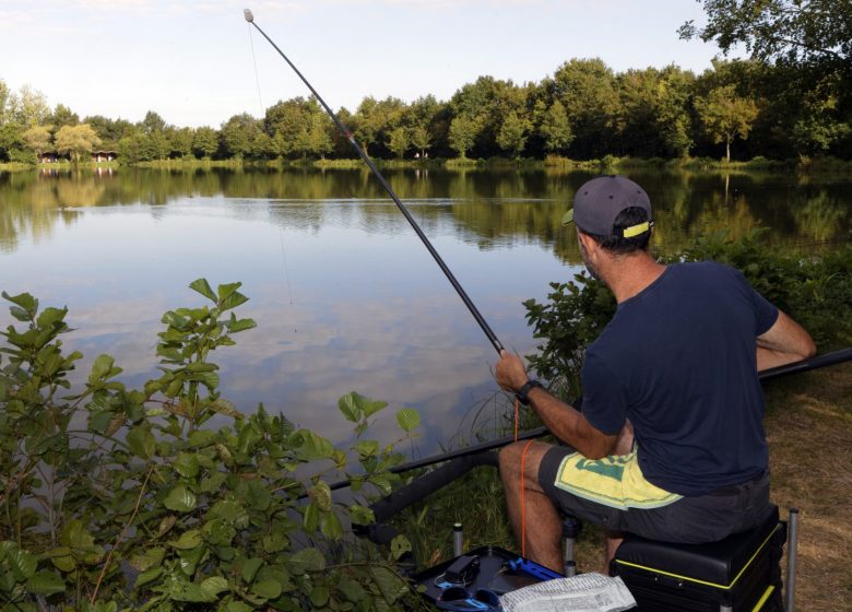 Aire de camping-car Camping Campilo