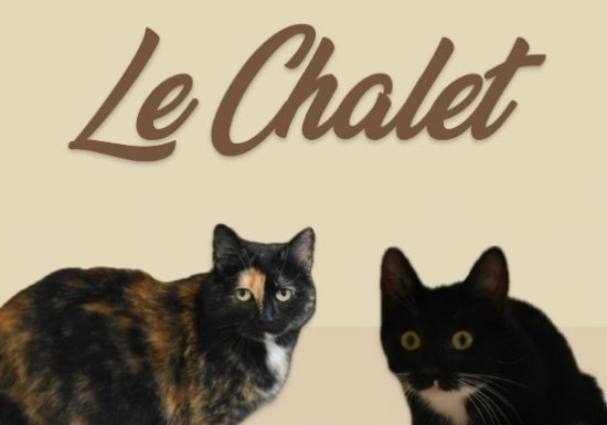 Le Chalet – Bar à chats