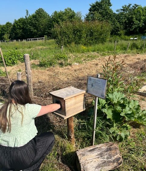 Visite libre de La Ferme pédagogique de la Jarrie