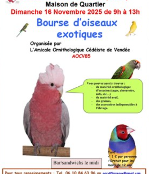 Bourse d’oiseaux exotiques