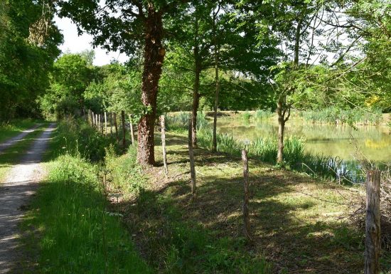 Sentier des Poudrières (La Ferrière)