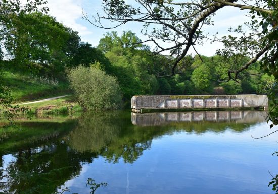 Sentier du Moulin Papon (La Ferrière)