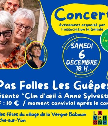 Concert « Pas folles les guêpes »