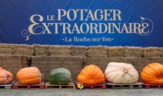 Incroyables Légumes au Potager Extraordinaire