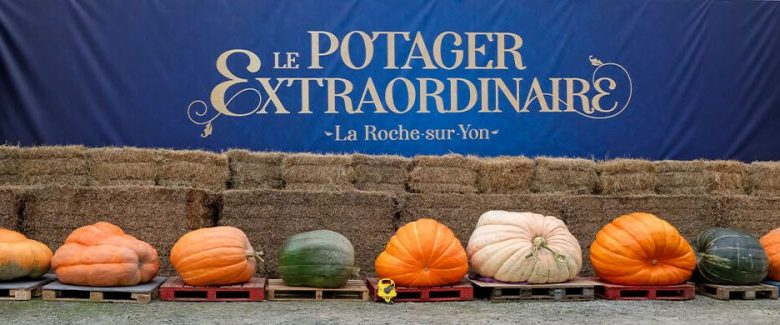 Incroyables Légumes au Potager Extraordinaire
