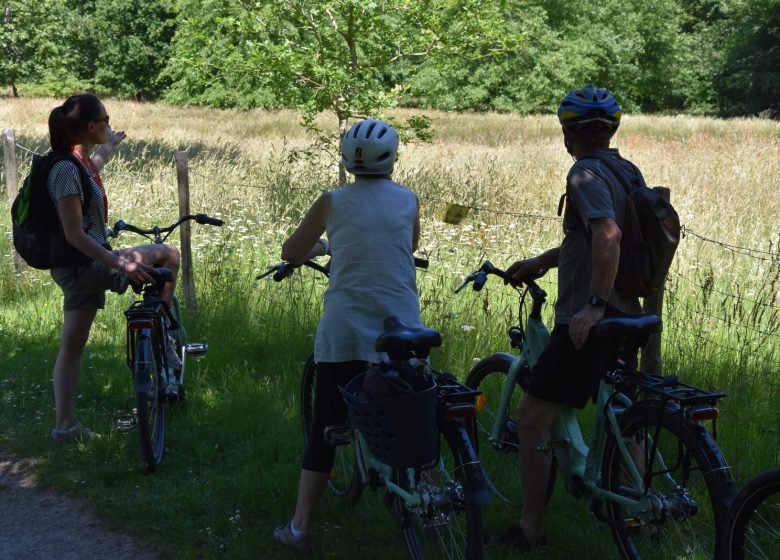 LOCATION DE VÉLOS ÉLECTRIQUES À L’OFFICE DE TOURISME