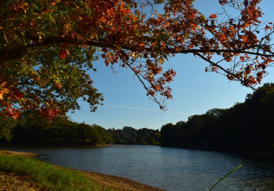 Sentier du lac de moulin Papon nord (La Ferrière et Dompierre sur Yon)
