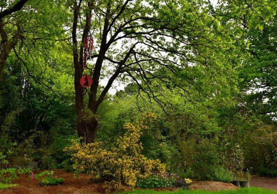 Les Jardins du Loriot