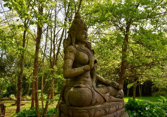 Les Jardins du Loriot